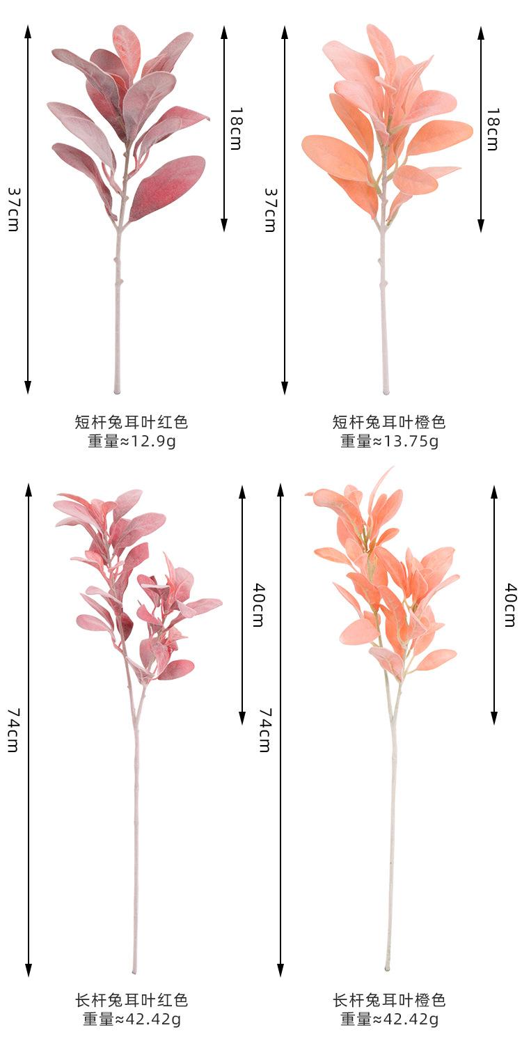 兔儿叶详情页_05.jpg
