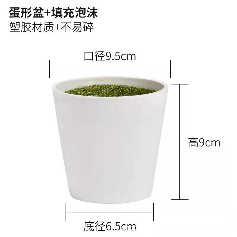 微信图片_20220125195649