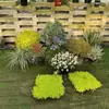 Arreglos de Plantas Grandes para Paisajismo, Decoraciones Florales de Jardín, Conjuntos de Paisajismo para Esquinas de Hoteles y Restaurantes, Manojos de Cañaveral Real