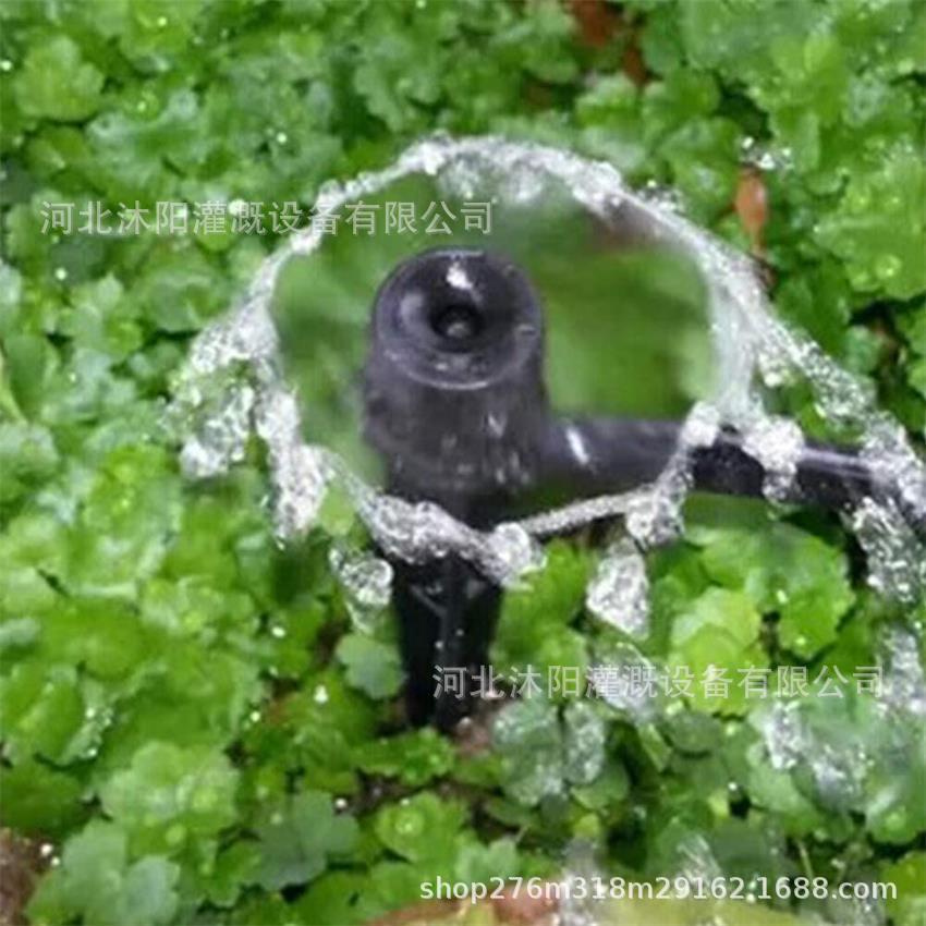 O1CN01D5QskA1KsnsExA9kO_!!2200