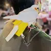 Cadena retráctil Parrot manos libres Ardilla Mascota Correa exterior para pájaros Piel de tigre Fénix negro Cuerda conveniente para pasear pájaros al aire libre