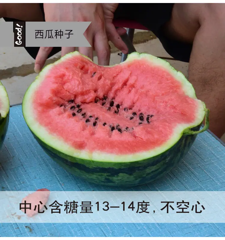 冰糖麒麟03-6