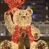 Fabricante Personalizado Decoração de Natal de Rua Check-In Luzes Decorativas em Forma de Urso Polar de LED Animais de Desenho Animado Brilhantes
