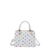 Bolso nuevo muy elegante para mujer 2026 verano versátil bolso de mano de lunares estilo ins bolso cruzado elegante para mujer