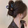 Pinza para el Cabello Extra Grande de 13 cm para Mujeres con Cabello Grueso, Nuevo Modelo 2026, Tamaño Grande Sencillo, Aspecto de Alta Gama, Pasador para la Parte Posterior de la Cabeza, Pinza de Tiburón