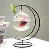 Soporte para Micro Paisaje Colgante DIY Soporte Pequeño para Flores de Hierro Forjado Maceta Colgante para Suculentas de Escritorio Soporte para Flores de Pared