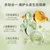 Champú con Fragancia de Aminoácidos de Gardenia Control de Grasa Anticaspa Gel de Ducha Limpieza Refrescante Venta al por Mayor de Fábrica