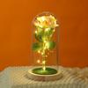 Flor Eterna Rosa Tampa de Vidro Presente de Aniversário Flor Eterna Ornamentos de Mesa Atmosfera Luz Noturna Tampa de Vidro Brilho