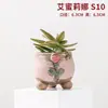 Macetas para Suculentas Transfronterizas, Macetas Transpirables de Cerámica Gruesa con Forma de Mano para Suculentas, Macetas Pulgar Pintadas a Mano, Venta Directa de Fábrica, Bandejas Creativas para Flores