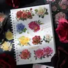 Pegatinas Buenos Días Serie Jardín de Rosas Silvestres Tema Rosa Bronce Plano Material Decorativo Pegatinas 6 Tipos