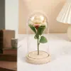 Ramo de Flores Eternas de Rosa Transfronterizo en Cúpula de Cristal, Caja de Regalo para el Día de San Valentín, Producto Terminado, Regalo de Navidad para el Día de la Madre