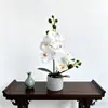 Maceta de cemento con 6 orquídeas Phalaenopsis artificiales, adecuada para decoración de mesa de hotel, adorno de maceta de planta verde realista 3D