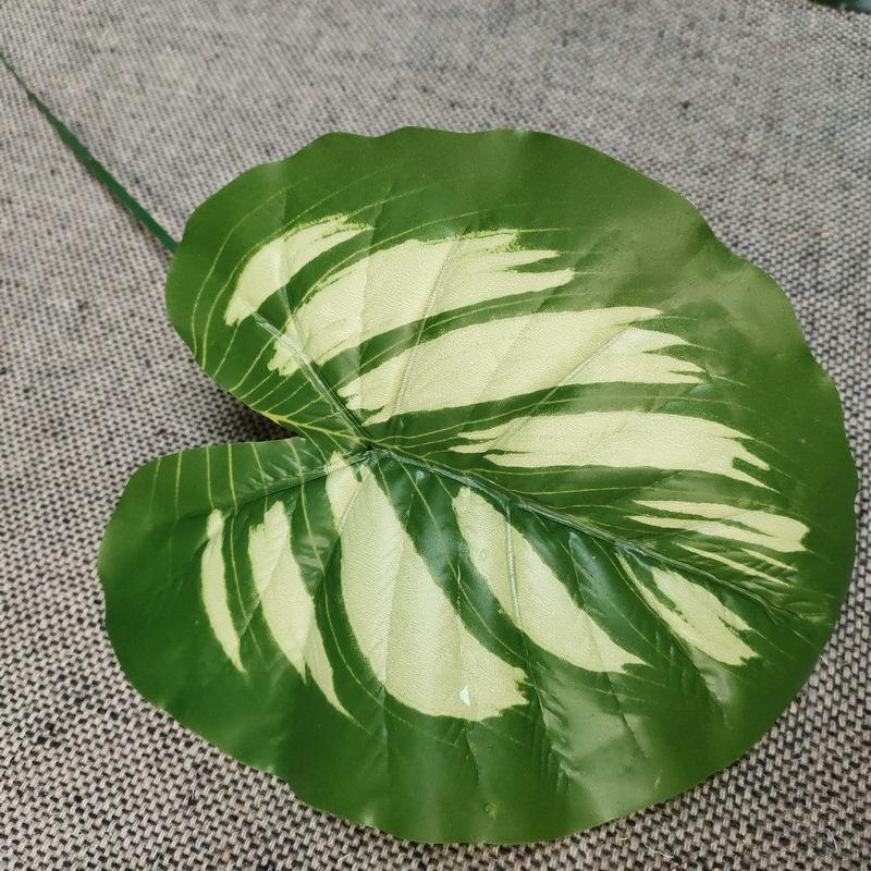 单只连体斑马浅绿