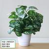 Plantas de Potos Simuladas, Plantas Verdes Falsas, Adornos de Flores Simuladas, Café Internet, Sala de Estar, Dormitorio, Club de Hotel, Adornos de Plástico, Envío Gratis
