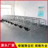 Paridera Simple de Piso para Cerdas con Tabla para Excrementos, Engrosada y Galvanizada en Caliente