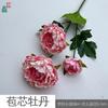 Peônia Puff Estilo Europeu Peônia com Núcleo Arranjos de Flores de Mesa para Casamento Ornamentos Flores de Seda Layout de Palco Flores Artificiais