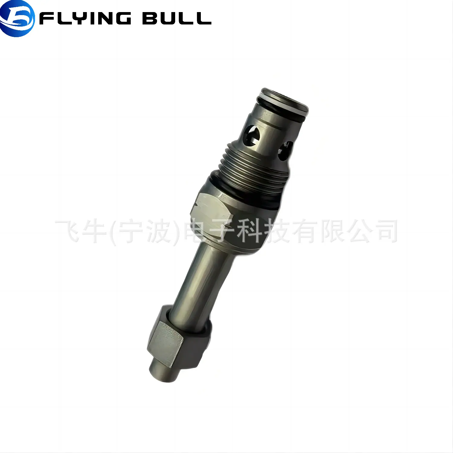 SV10-21P (4)