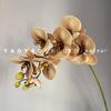 Morandi Vintage de Alta Gama Phalaenopsis Simple Lujo Ligero Ins Orquídea Flor Falsa Tienda de Pasteles Horneado con Flor Phalaenopsis