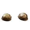 Tartaruga Shell Bell Cobre Puro Cinco Imperadores Dinheiro Chaveiro Acessórios Ornamentos Chaves de Carro Homens e Mulheres Bolsa Pendurada Ornamentos