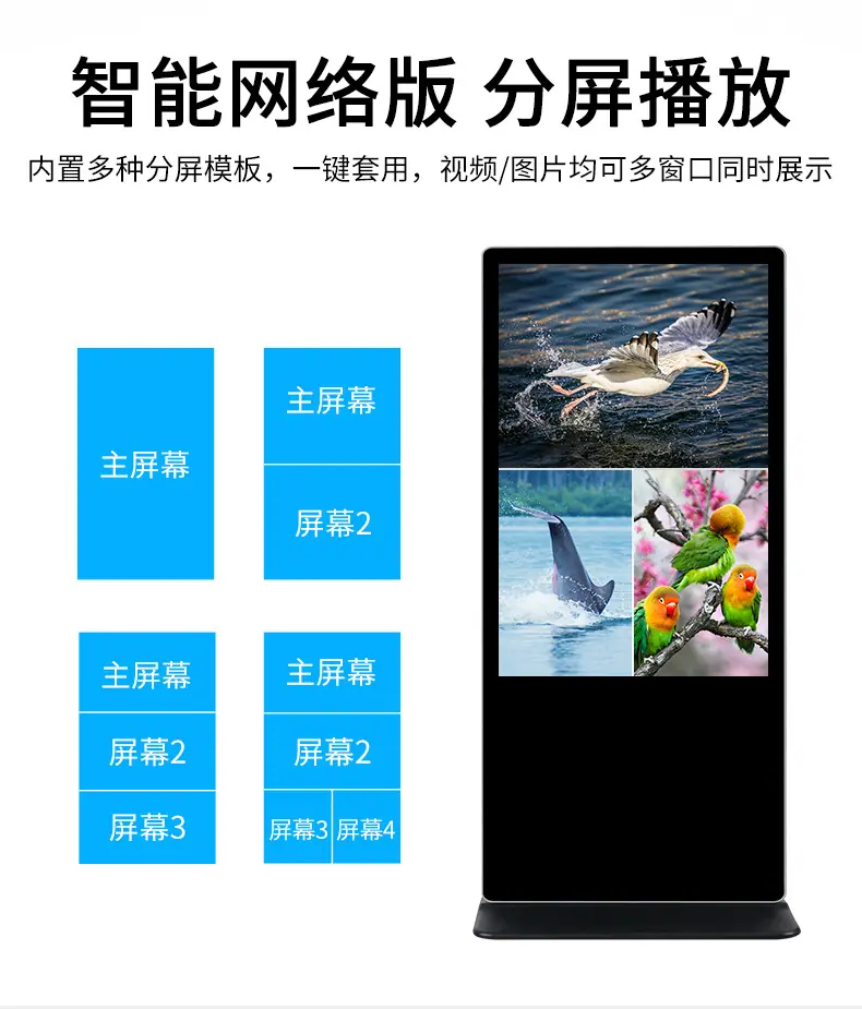 网络版
