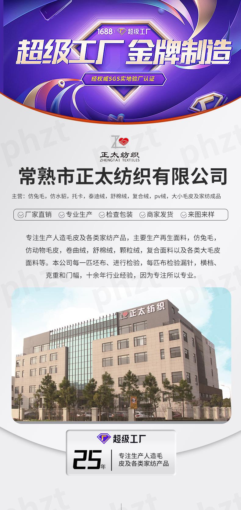 泰迪卷曲绒_01.jpg