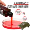 Pesca de tartarugas de casco mole tartaruga medicinal pequena isca tartaruga selvagem pesca antiga tartaruga poção atrativo tartaruga d'água tartaruga de casco mole abertura de anzol agente pescador rei oito