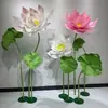 Planta Artificial de Lótus Verde Folha de Lótus Decoração para Casa e Casamento Ornamento de Vagem de Lótus Artificial Adereço para Fotografia de Lago Flor Artificial Flor Decorativa