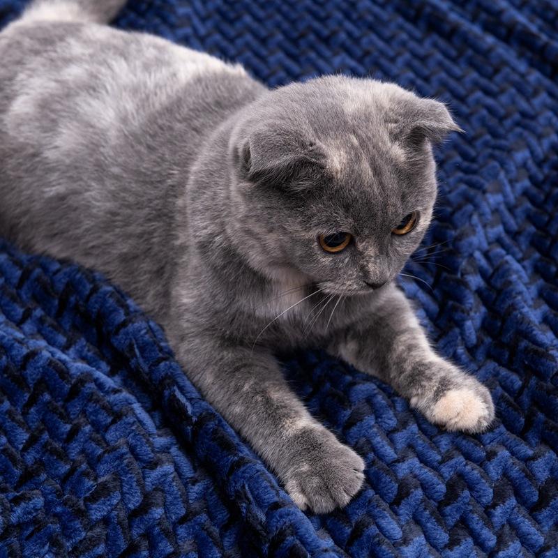 DSC_0771.jpg