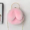 Bolsa de pelúcia para mulheres, bolsa transversal de princesa, nova bolsa de corrente, bolsa versátil de orelha de coelho, bolsa peluda para meninas