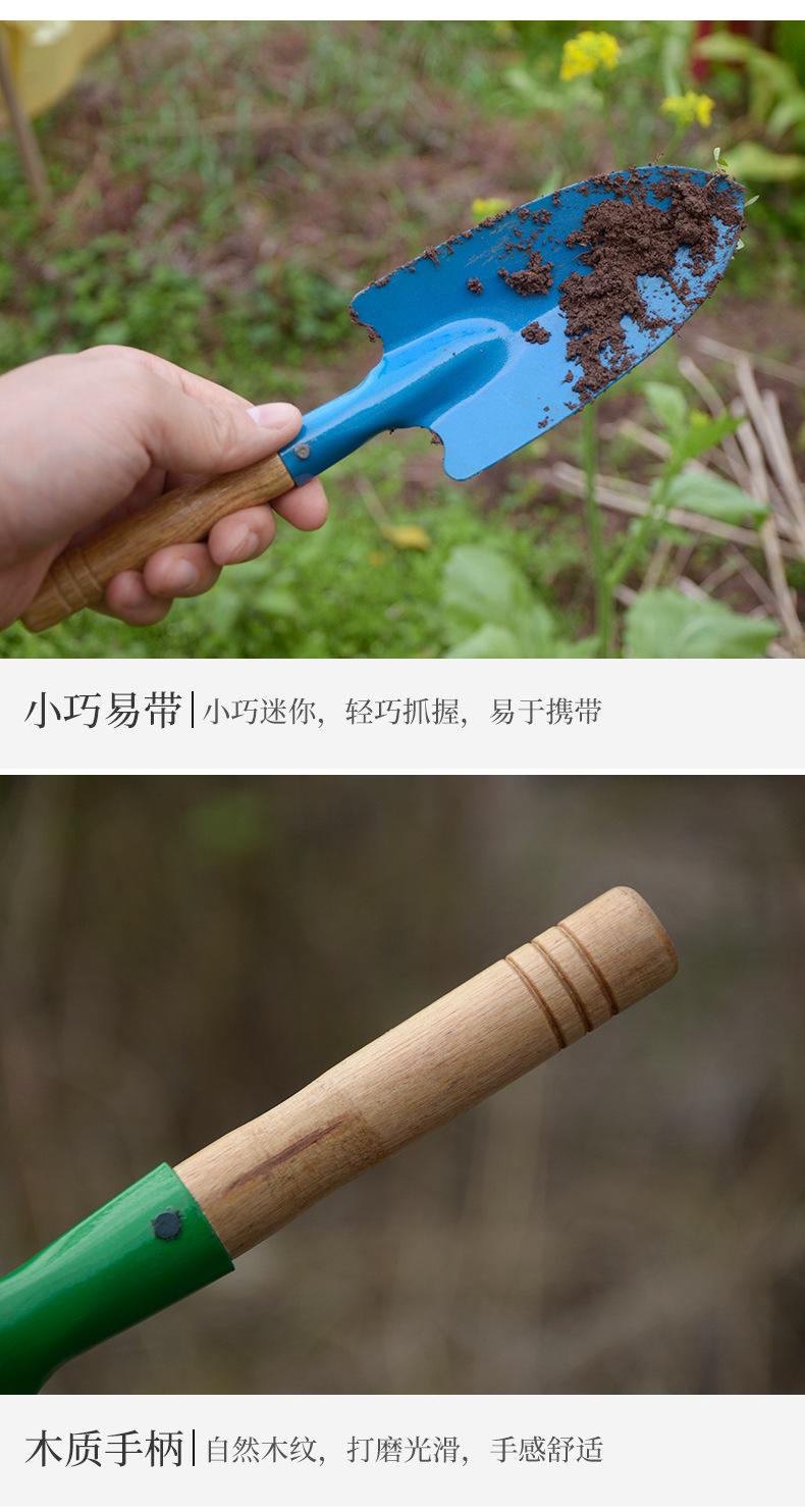 详情4