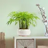 2025 Overover Fc1801 Hoja de Bambú Verde Pegatina de Pared de Plantas Removible y Compatible con Envío Transfronterizo, Antiestático e Impermeable