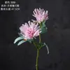 Venta de Liquidación 90% de Descuento Flores Artificiales Crisantemo Pinza de Cangrejo Crisantemo Garra de Dragón Decoración del Hogar Planta de Pared Flores Falsas Estilo Ins Transfronterizo