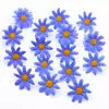 Flor Artificial Nueva Margarita Pequeña Crisantemo Hecho a Mano DIY Doble Capa 4.5cm Cabeza de Flor Falsa Margarita Poligonal Girasol Al por Mayor