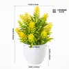 Amazon Home Escritorio Planta Verde Artificial Mini Planta Falsa en Maceta Juego de Adornos Decoración para Sala de Estar Alta Simulación