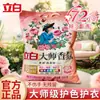 Polvo para Lavar Liby Master Fragrance 800g Fragancia de Larga Duración para la Limpieza de la Ropa, Paquete Familiar Económico, Eliminación de Manchas, Suave con las Manos