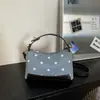 Bolso Nuevo de Lunares Otoño 2026 Moda Nicho Versátil para el Trabajo Bolso Cruzado de Hombro Único para Mujer