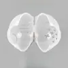 2026 Nuevo Casco de Cabeza de Gato para Protección contra Mordidas y Patas Aplicada al Espacio, Recorte de Uñas, Capucha para Baño, Práctico y Duradero para Mascotas