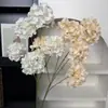 Simulación 5 Cabezas Hortensia Ceremonia de Boda Decoración Salón de Bodas Paisajismo Materiales Florales Adorno Decoración Sala de Estar Hortensia