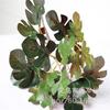 Fábrica al por mayor simulación planta plástico flor artificial planta pared material pegamento tacto hoja tortuga espalda hoja verde eneldo
