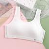Chaleco de Desarrollo para Niñas con Copa Triangular Fija Integrada Estudiante Anti-movimiento Espalda Bonita Transpirable Ropa Interior sin Aros para Mujer