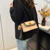 Bolso de Axila para Mujer Otoño e Invierno 2025 Exquisito Bolso Pequeño Cruzado de un Hombro Bolso Cuadrado Pequeño Moda Trendy