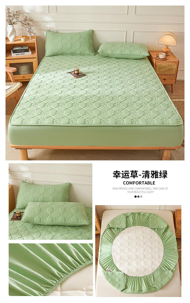 幸运草-清雅绿.jpg
