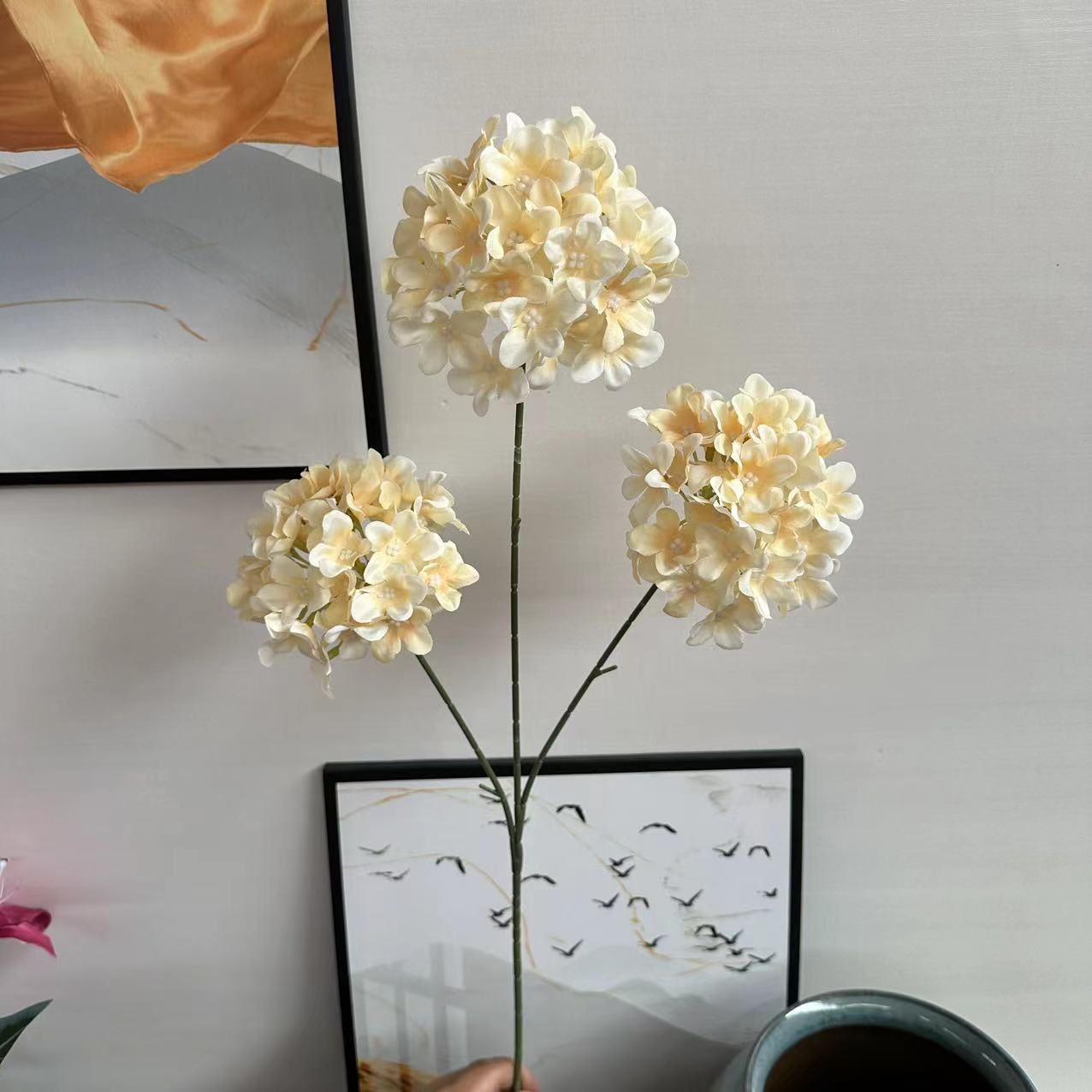 3头木绣球香槟色