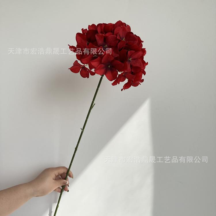 微信图片_202303081754094_副本