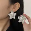 Europa y Estados Unidos nuevos pendientes exagerados de circonita de diamante de cinco puntas pendientes temperamento femenino transfronterizos color retro pendientes geométricos