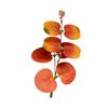 Hojas de Eucalipto Simuladas Accesorios para Arreglos Florales de Boda Hojas de Eucalipto Hoja de Dinero Ins Accesorios para Arreglos Florales Hojas Decorativas