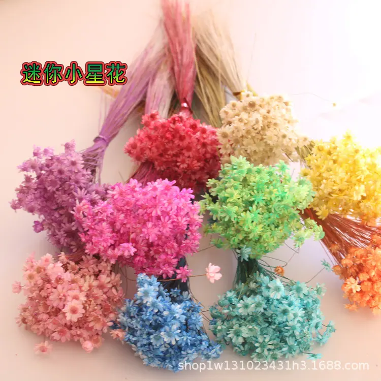 迷你小星花.jpg