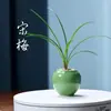 Maceta Pequeña, Planta Suculenta Verde, Ciprés de Bambú, Cerámica Esmaltada Agrietada por Hielo Hecha en Horno Maceta para Mesa Interior y Exterior con Agujeros Adornos de Cerámica