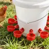 Bebedouro Automático para Frangos, Patos e Gansos; Bebedouro para Frangos; Bebedouro para Codornas, Pintinhos, Patos e Pássaros; Bebedouro para Aves