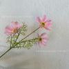 Flores Artificiais com 3 Cabeças de Cosmos, Flores de Cosmos Falsas para Casamentos, Arranjos de Flores Estilo Jardim de Monet, Em Estoque para Venda por Atacado